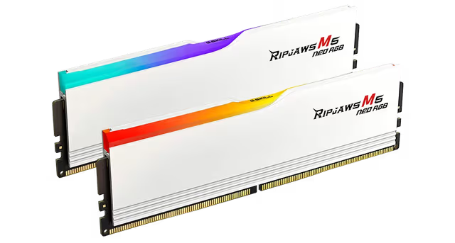 G.SKILL Ripjaws M5 RGB 32GB (2x16GB) DDR5‑5600 CL30 Desktop Memory Kit – Intel XMP – Matte
