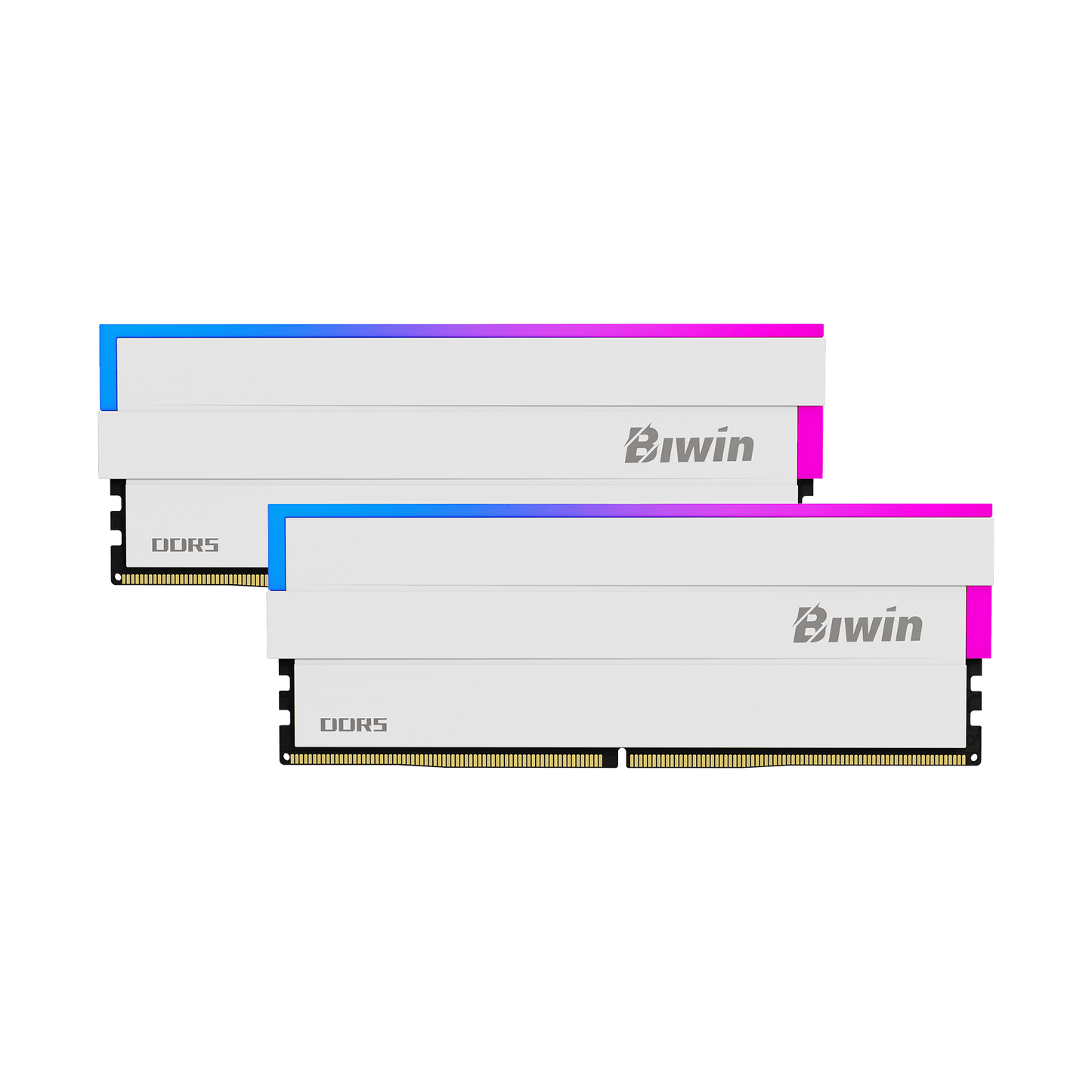 BIWIN Black Opal DW100 64GB (2x32GB) DDR5-6000 CL30 RGB Memory