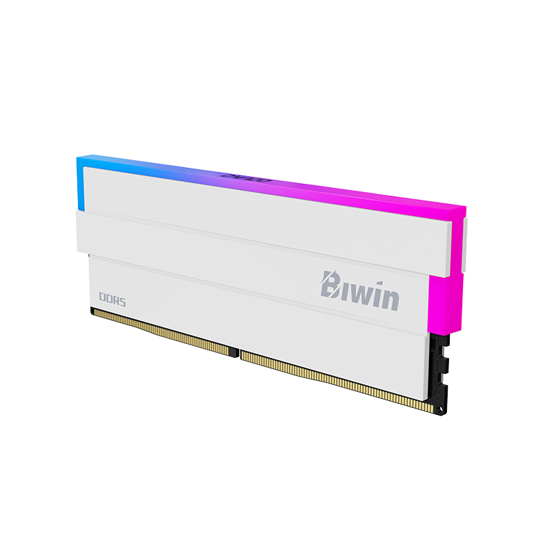BIWIN Black Opal DW100 64GB (2x32GB) DDR5-6000 CL30 RGB Memory