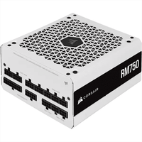CORSAIR RM White Series RM750 — 750 Watt 80 PLUS Gold Fully Modular ATX Power Supply